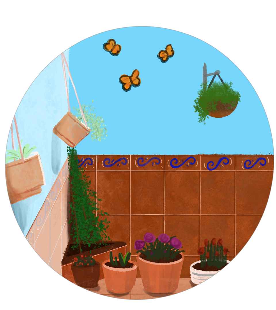 Patio y jardín